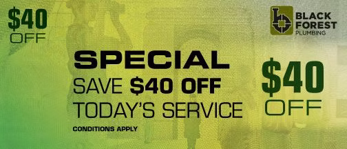 Promotional banner for Black Forest Plumbing offering $40 off todays service. The text highlights the discount amount and that conditions apply. The company logo is displayed in the upper right corner.